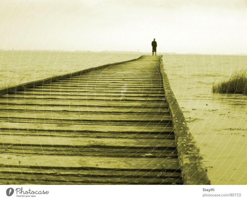 male romance Jadebusen Lake Ocean Loneliness Footbridge Romance Beach Horizon Clouds Man Coast Remote Vantage point Far-off places Human being Freedom Target