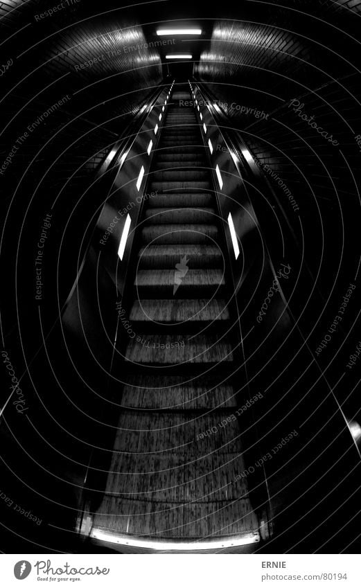 up and away Escalator Far-off places Undulating Rubber Lamp Arrangement Black Dark Cologne Near Fisheye Flashy Station Go up Train station Handrail String Light