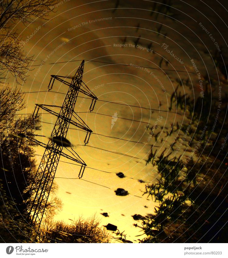 Yellow Current Electricity Winter Puddle Wet Grass Reflection Mirror Tree Green Sky Electricity pylon Paradise Power failure Meadow Green space