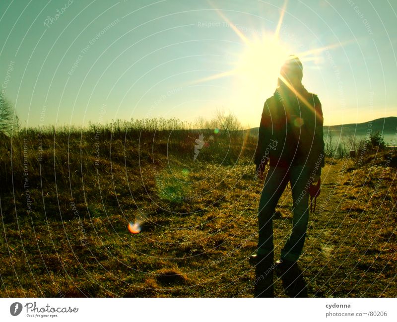 On Christmas morning Action Meadow Sun Woman Back-light Dazzle Winter Cold Moody Green Green space silouette Nature To go for a walk Lighting Idyll Sky