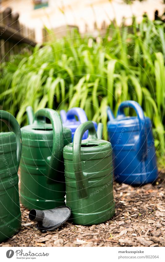 watering cans Vegetable Lettuce Salad Fruit Herbs and spices Organic produce Vegetarian diet Living or residing Flat (apartment) House (Residential Structure)