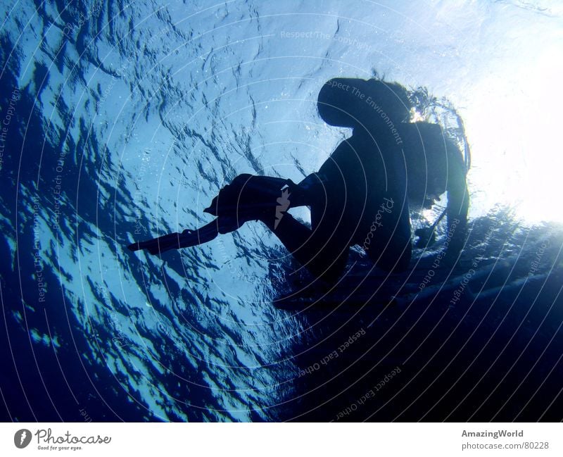 surface Aquatics Infinity Diver Ocean Egypt Surface Return Water Underwater photo Blue Deep Freedom