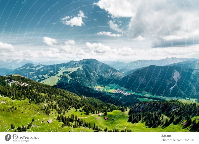 Bayrischzell Vacation & Travel Tourism Trip Summer Summer vacation Mountain Climbing Mountaineering Sky Clouds Beautiful weather Meadow Forest Alps Peak Blue