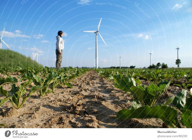 Laura and the windmill Green Field Large Small Summer Spring Loneliness Romp Wind energy plant Size comparison Joy laura Blue Sky Nature Earth carmouflage army