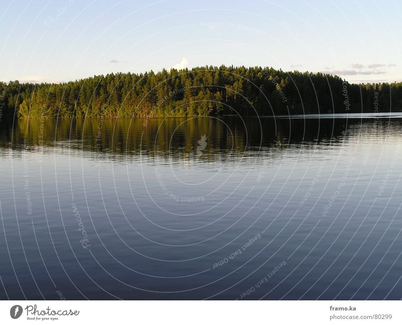 still water ... Lake Moody Calm Forest Tree Summer Water Shadow Coast