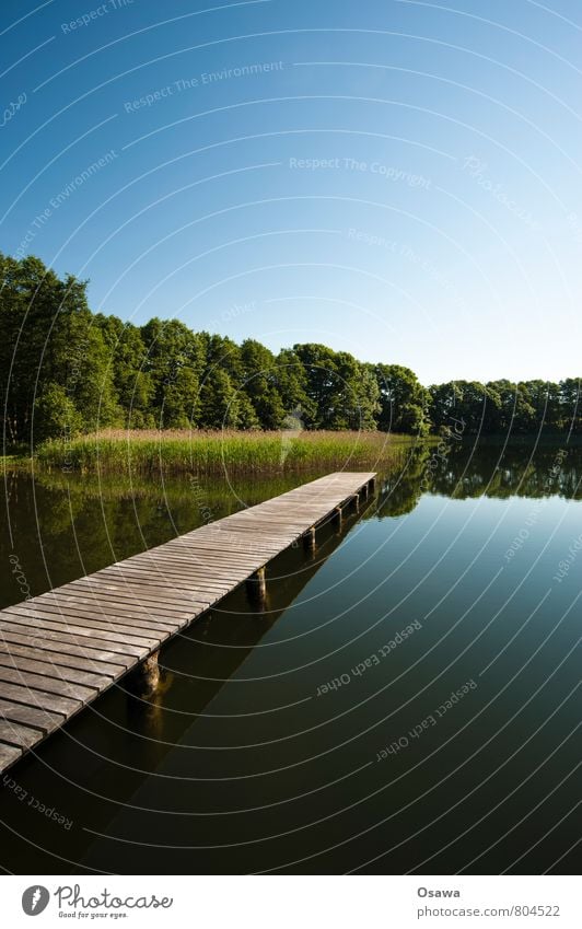 footbridge Lake Footbridge Water Wood Sky Tree Nature Reflection Vacation & Travel Relaxation Calm Swimming & Bathing Trip Copy Space top Copy Space bottom