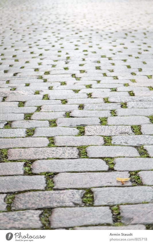 cobblestones Design Town Street Old Authentic Dirty Sharp-edged Firm Historic Retro Gloomy Gray Moody Nostalgia Perspective Berlin Kreuzberg Cobblestones