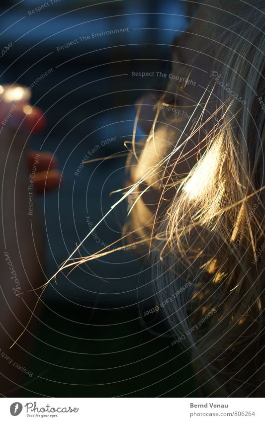 streaky Hair and hairstyles Sun Child Girl Eyes Hand Warmth Blonde Blue Orange Individual Cheek Colour photo Exterior shot Day Evening Light Contrast Sunlight