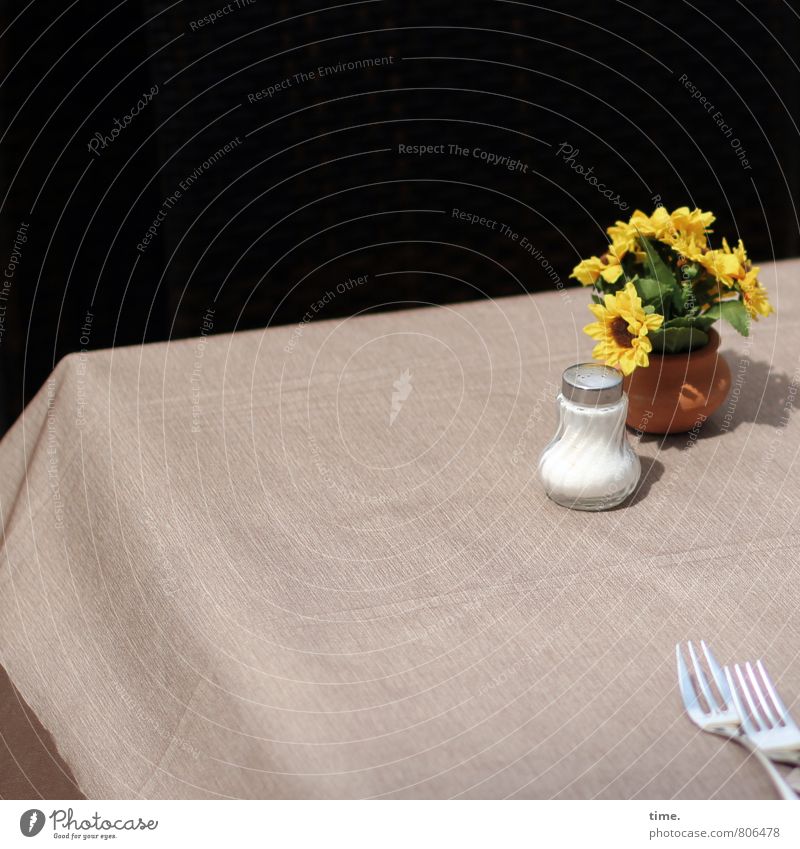 appetizer Salt Nutrition Fork Tablecloth Salt caster Beautiful weather Flower Pot plant Sunflower Decoration Metal Plastic Authentic Small Warmth Anticipation