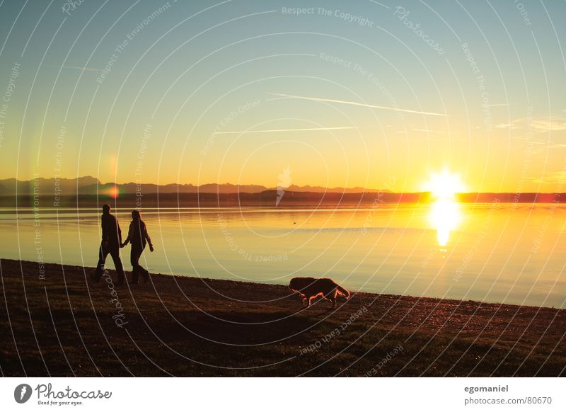 shore walk Lake Clouds Sunset Far-off places Light Horizon To go for a walk Dog Family & Relations Lake Starnberg Sky Water Evening Nature Mountain Human being