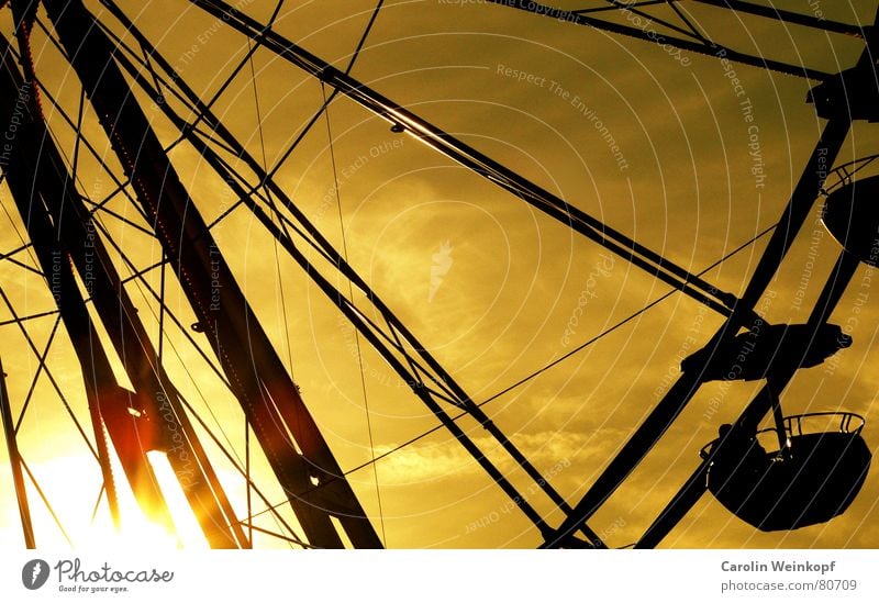 pleasure Joy Ferris wheel Sunset Winter Christmas Fair Evening Pastime Life Sky Dusk