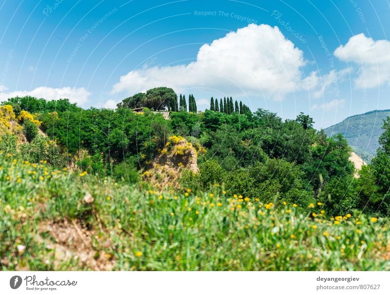 Tuscany landscape Summer House (Residential Structure) Nature Landscape Tree Meadow Hill Street Green Mysterious Idyll Italy Italian Farm country field Rural