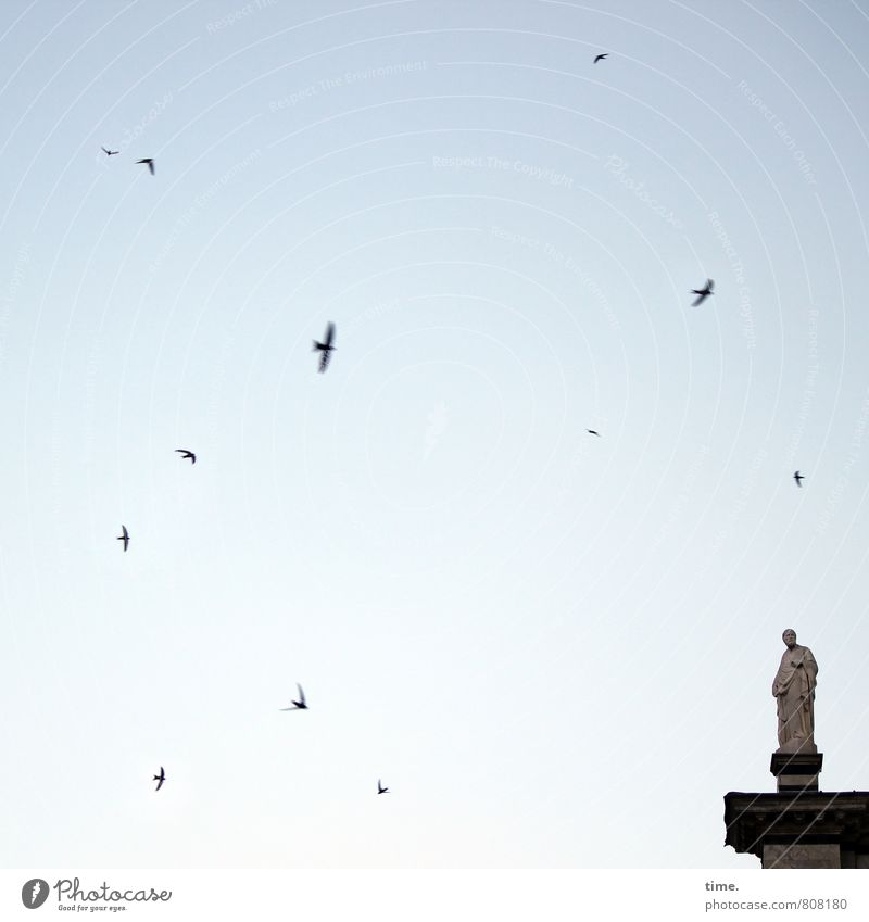 something to do Art Sculpture Sky Cloudless sky Church Dome Manmade structures Roof Animal Bird Flock of birds Flying Stand Joie de vivre (Vitality)