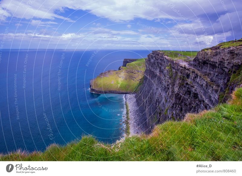 Cliffs of Moher Nature Landscape Water Cloudless sky Horizon Grass Coast Ireland Deserted Tourist Attraction Landmark Blue Green Turquoise Colour photo