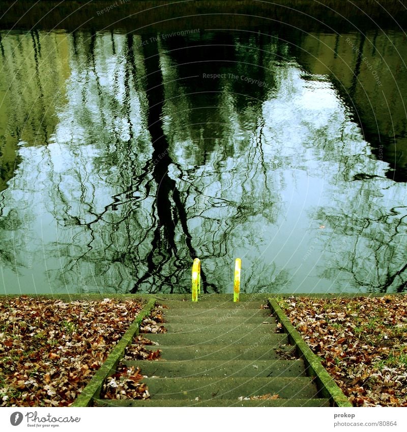 pool party Leaf Reflection Autumn Cold Neukölln Water Fresh Stairs Ladder Open-air swimming pool Downward Water reflection Mirror image Distorted Image format