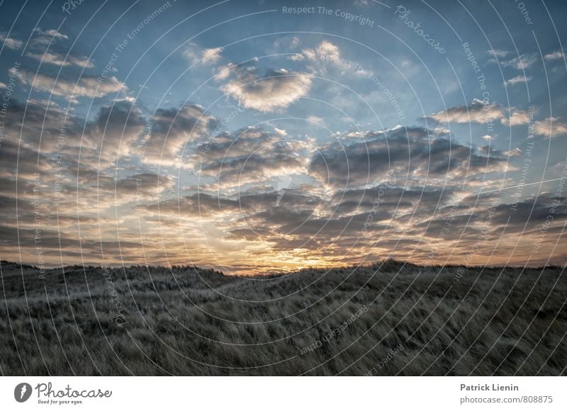 Morning sun on Amrum Wellness Contentment Senses Relaxation Calm Vacation & Travel Tourism Trip Adventure Far-off places Freedom Summer Beach Ocean Island