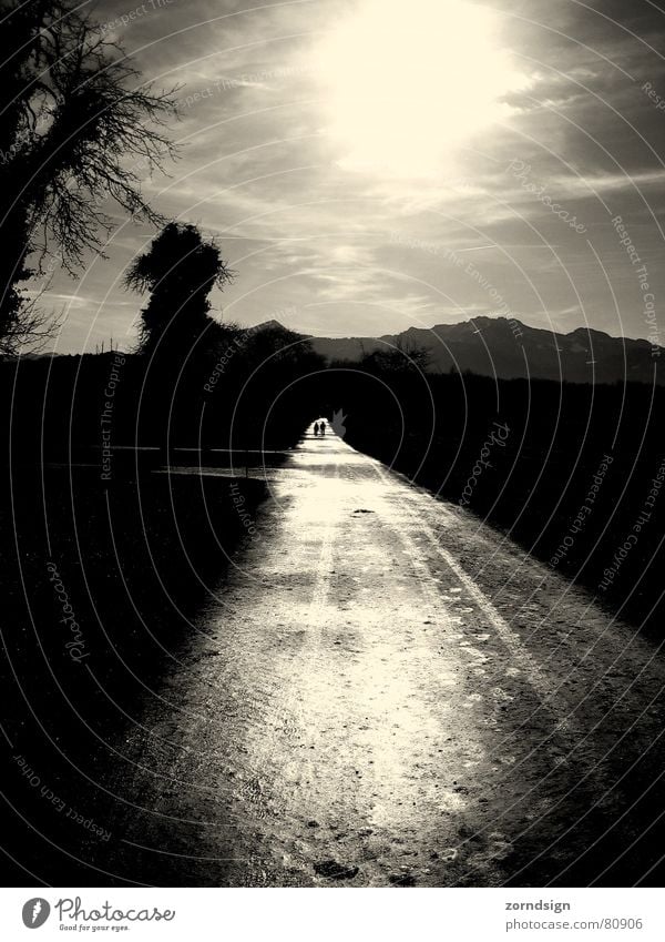 After the rain 1 Black & white photo Light Avenue Footpath Wet Shaft of light Shadow Country road Reflection Darken Promenade Far-off places Sidewalk Doomed