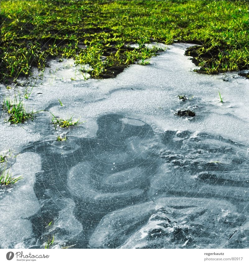 ice Alb Puddle Field Meadow Cold Frozen Winter Ice Frost