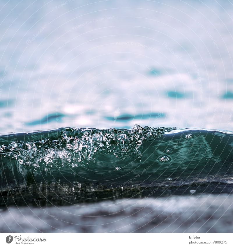 Wave breaking against the light at the shallow lakeshore Water wave Crest of the wave Drops of water Waves Back-light Nature Elements Blue White Source