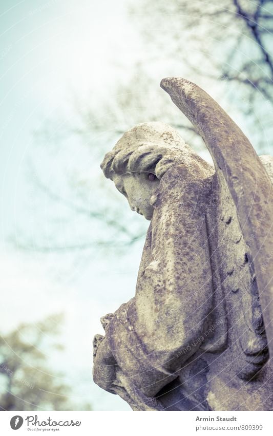 Angel from behind Sculpture Spring Park Esthetic Authentic Dirty Firm Retro Gloomy Moody Sadness Senior citizen Loneliness Mysterious Belief Religion and faith