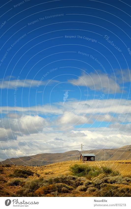 El Calafate II. Nature Landscape Animal Earth Air Sky Clouds Sun Autumn Beautiful weather Field Mountain Old Cold Thorny Town Wild Patagonia Argentina