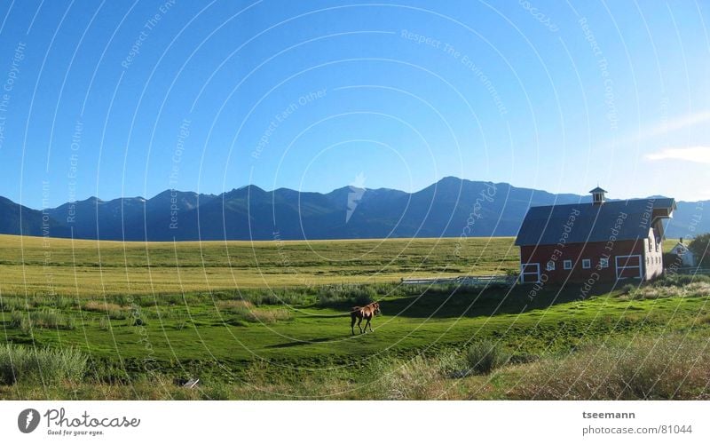 Idyllic Oregon I - Panorama Hill Meadow Grass Green Horse Red Barn USA Americas Sky Wallowa Mountains Panorama (View) Blue hills mountains eastern oregon