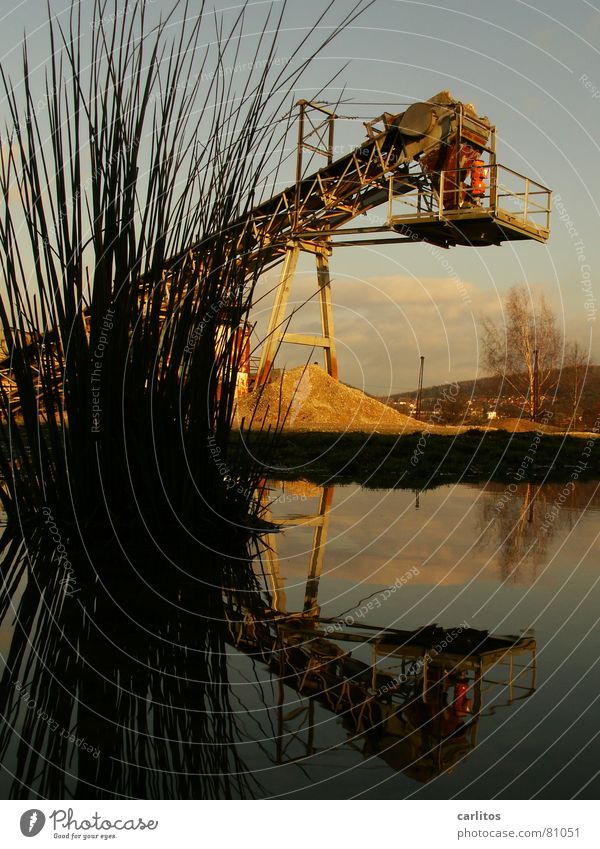 Killer excavator with chives Subsidy Gravel pit Conveyor belt Puddle Reflection Symmetry Construction site Diagonal Tilt Grass Plant Industry Derelict