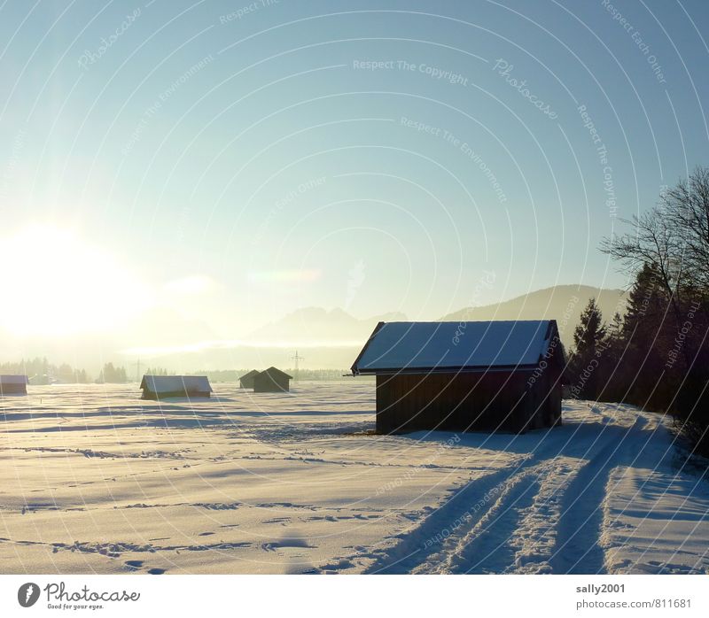 winter sun Nature Cloudless sky Sun Sunlight Winter Beautiful weather Snow Tree Meadow Field Alps Hut Barn Cold White Serene Calm Stagnating Lanes & trails Rut