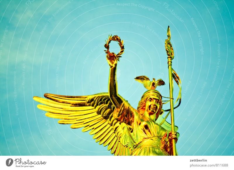 else Victory column Berlin Berlin zoo Monument Landmark Statue Victorian style Goldelse victory statue Glittering leaf gold Success War Angel Wing Flying Wreath