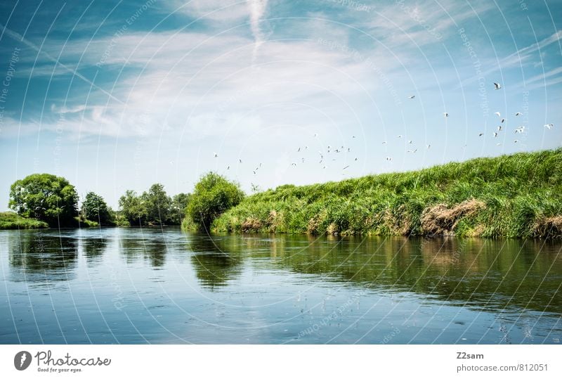 Blue/Green/Blue Vacation & Travel Trip Summer Summer vacation Environment Nature Landscape Sky Clouds Beautiful weather Tree Bushes River bank Bird Flock