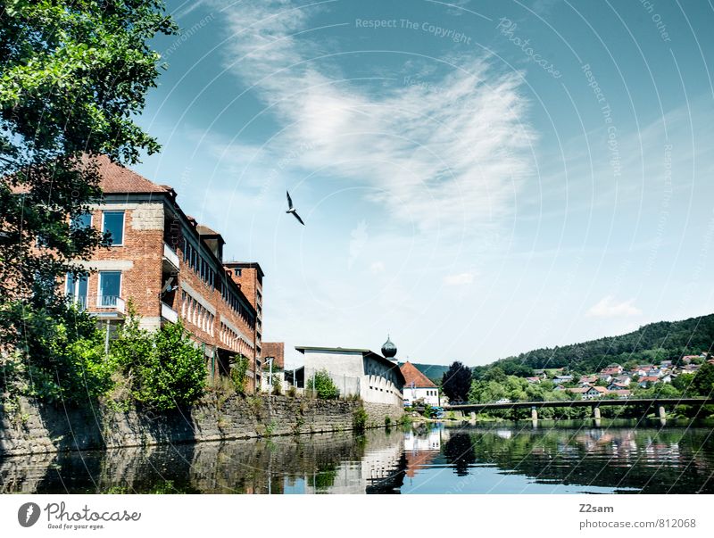 Kitsch from the Upper Palatinate Environment Nature Landscape Sky Summer Beautiful weather Tree Bushes River bank Village Bridge Bird Esthetic Natural Blue