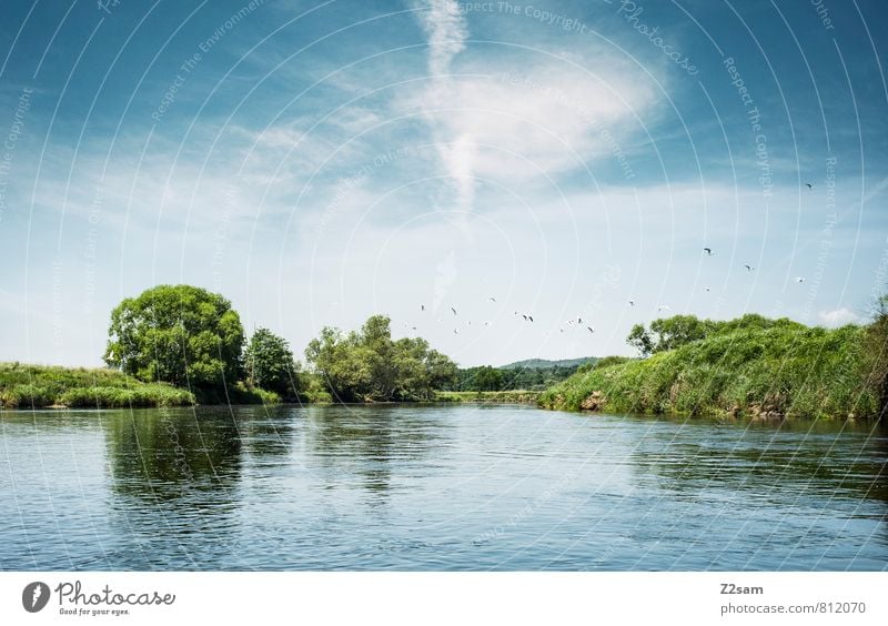 the beautiful rain! Environment Nature Landscape Sky Clouds Summer Beautiful weather Tree Bushes River bank Bird Flock Flying Free Sustainability Natural Blue