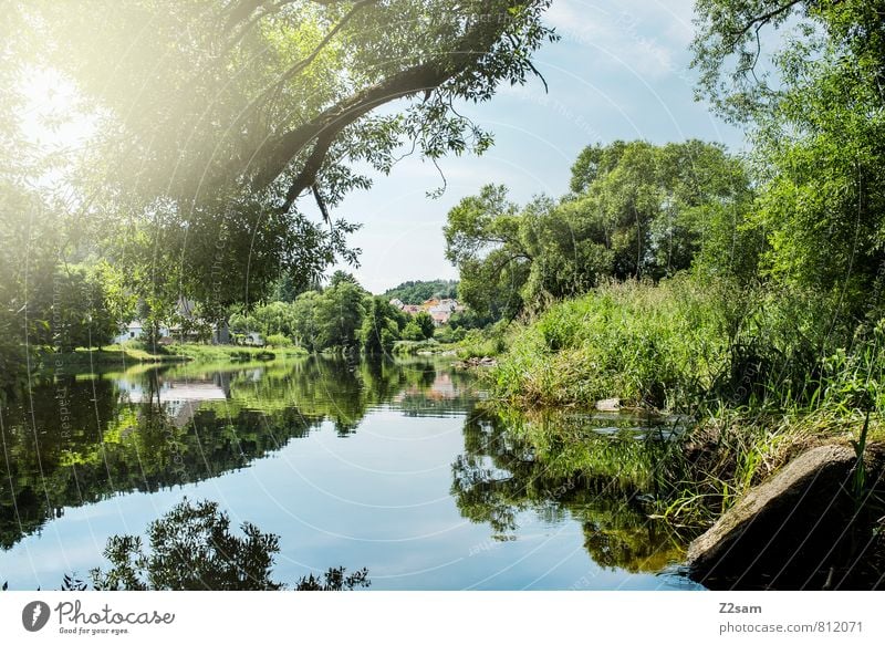 The beautiful rain Vacation & Travel Trip Summer vacation Sun Environment Nature Landscape Sky Tree Bushes River bank Sustainability Natural Blue Green Calm