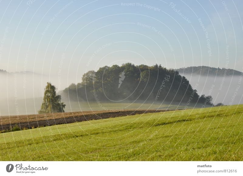 late summer Nature Landscape Cloudless sky Sunlight Autumn Beautiful weather Fog Tree Bushes Meadow Field Forest Hill Deserted Blue Green Calm Moody Summer