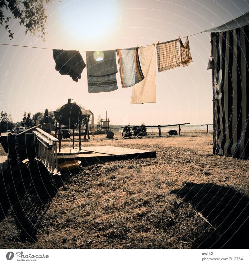 After washing the dishes Environment Nature Cloudless sky Horizon Climate Weather Beautiful weather Wind Warmth Plant Grass Movement Hang Free Fresh Bright