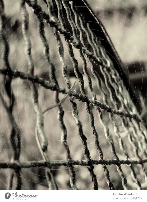 XXXXXXXXXXX Grating Fence Hoarding Grass Railroad tracks Decline Longing Wire Blur Station Commuter trains Friedrichshain Macro (Extreme close-up) Close-up