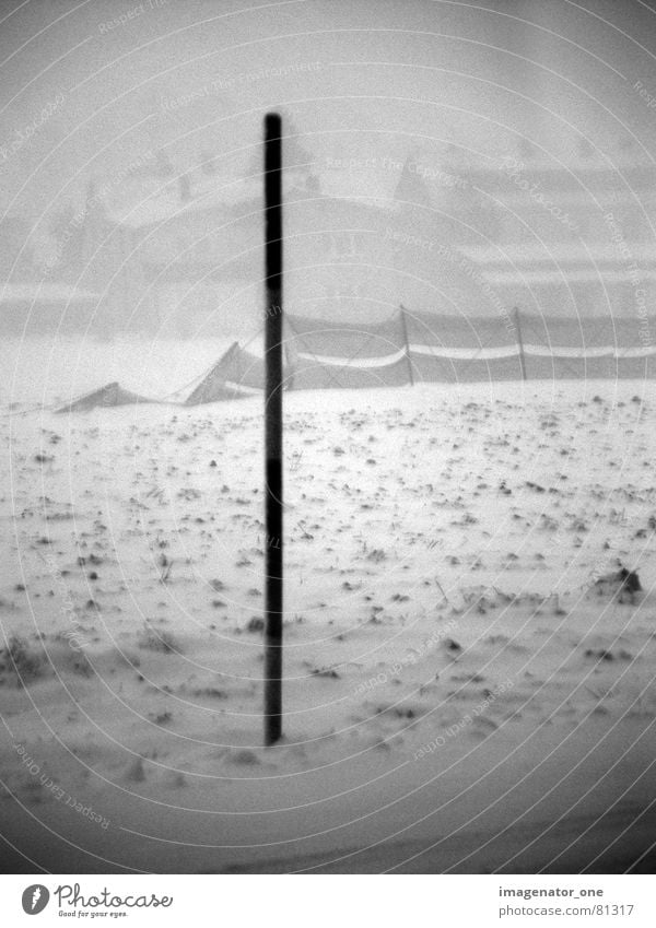 blizzard Gale Fence Winter Hissing Field Snow Landscape Black & white photo