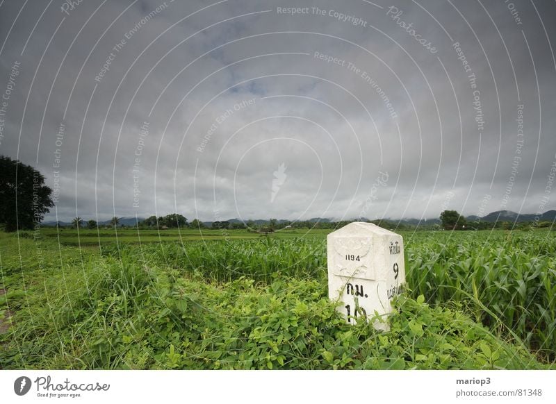 Mainland of Thailand Milestone Paddy field Monsoon Clouds Field Green Asia Agriculture Rich Beautiful Exterior shot Multiple Green space Earth Weather Landscape