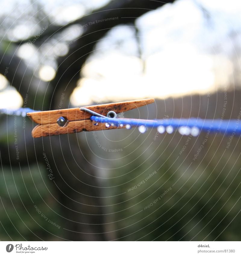 alone Tumble dryer Clothes peg Laundry Washer Dry Autumn Wet Tree Wood Cold Clothesline Washing Exterior shot Household Colour laundry twister air dry