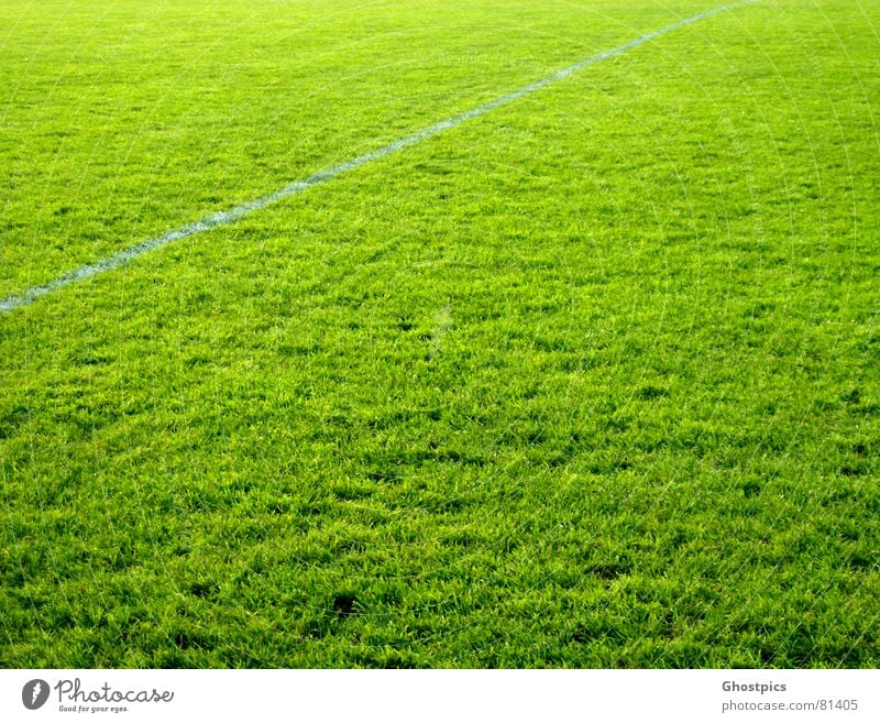 It doesn't get greener ;) Sports Green Line Field Multicoloured Playing Ball sports Colour grass. green athletic Soccer