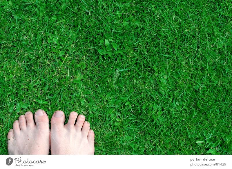 Green feet Stride Toes Grass Feet Lawn Barefoot