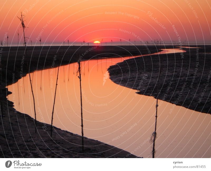 North Sea impression Sunset Moody Romance Twilight Coast Calm Loneliness Beach Mud flats