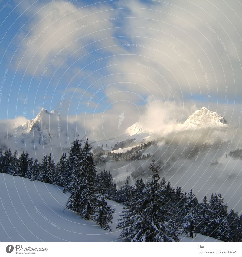 there was still snow Powder snow Coniferous forest Virgin snow Forest Fir tree Snow Clouds Fog Snow mountain Morning fog Mountain range imposed Alps pointy