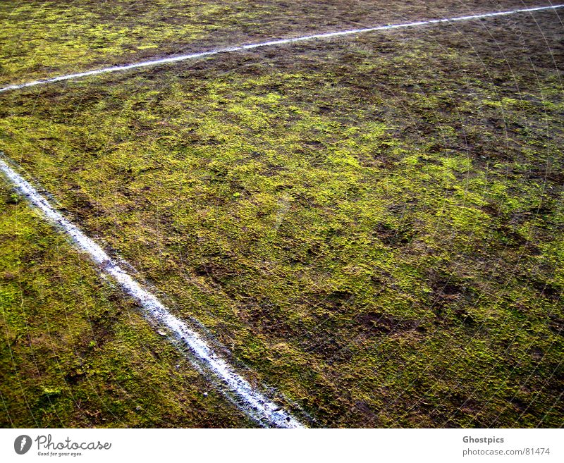 Stroke?! Moss?! What's going on?! Corner Green Line Field Multicoloured Mud Sports Playing Autumn Ball sports 90° Dirty grass. green athletic Soccer