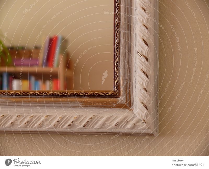 Picture in picture Bookshelf Picture frame Mirror Mirror image Shelves Household Image Frame edge Self portrait hem