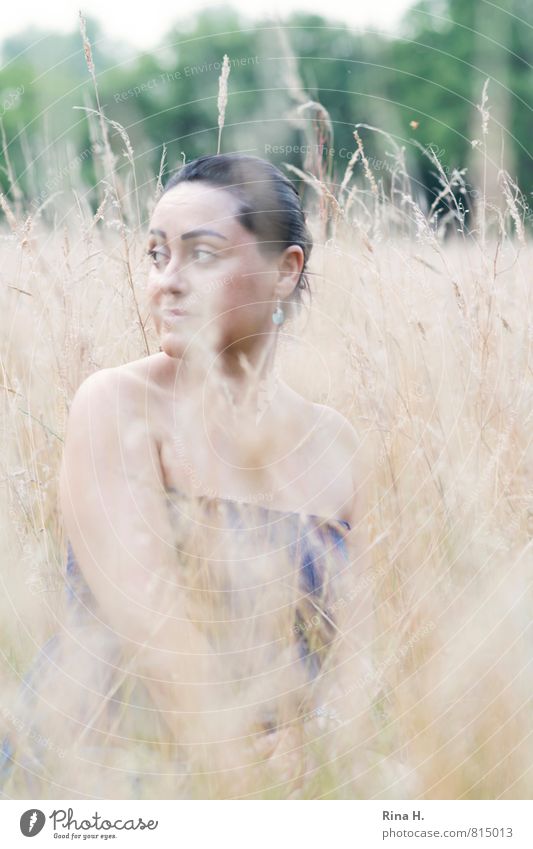 in the field Woman Adults 30 - 45 years Nature Landscape Beautiful weather Grass Meadow Dress Hair and hairstyles Black-haired Sit Feminine Rooya Shoulder