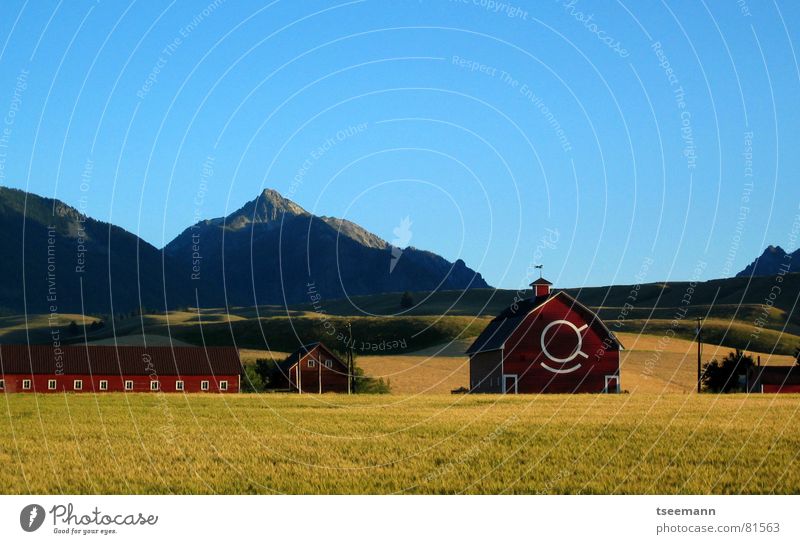 Idyllic Oregon II Hill Meadow Grass Green Red Barn USA Americas Wallowa Mountains Yellow Sky Calm Blue red barn hills eastern oregon mountains quiet