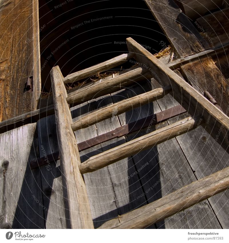 Heidi climbed up and reached the hayloft... Hayrick Oberland Alpine pasture Farm Hatch Wood Rung Switzerland Country life Derelict hay barn Americas Old Ladder