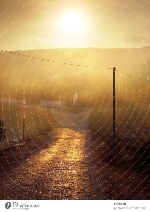 evening sun Sunset Fog Electricity pylon Brown Physics Portugal Deserted Loneliness Bad weather Evening Dusk Remote Beige Shroud of fog Orange Warmth