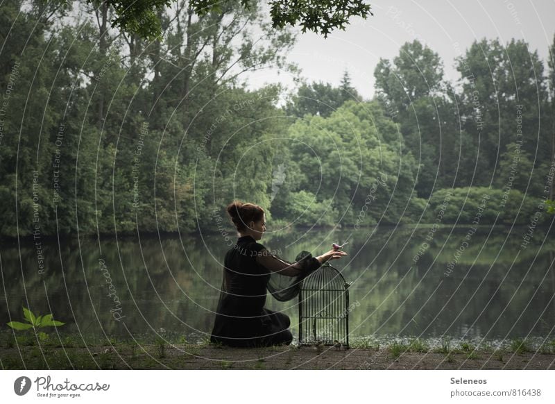 . Freedom Human being Feminine Woman Adults 1 Environment Nature Water Park Pond Lake Bird Bird's cage Trust Love of animals Idyll Colour photo Exterior shot